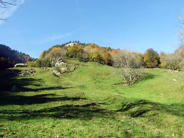 Alpages Prairies Alpines Sur Les Flancs Massif Alpin Alpstein Dans — Photo