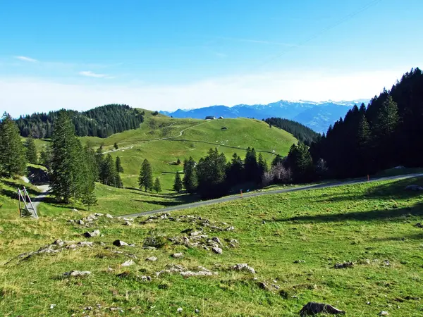 Alpejskie Pastwiska Użytki Zielone Zboczach Masywu Górskiego Alpstein Dolinie Renu — Zdjęcie stockowe