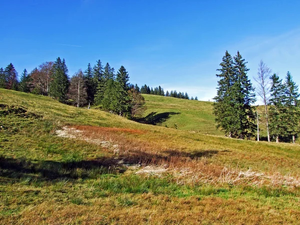 Alpské Pastviny Pastviny Svazích Horského Masivu Alpstein Údolí Řeky Rýn — Stock fotografie