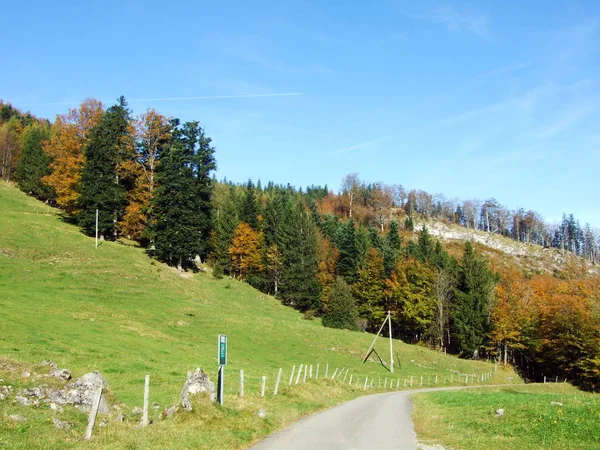 Alpstein山脉和瑞士圣加仑州莱茵河流域 莱茵塔尔 的混合森林和树木 — 图库照片