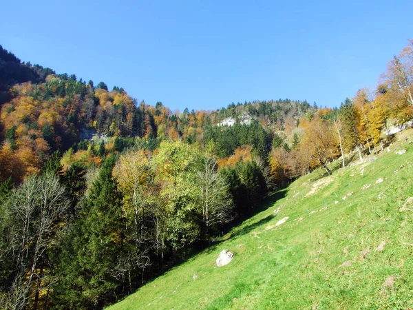Foreste Alberi Misti Sulla Catena Montuosa Alpstein Nella Valle Del — Foto Stock