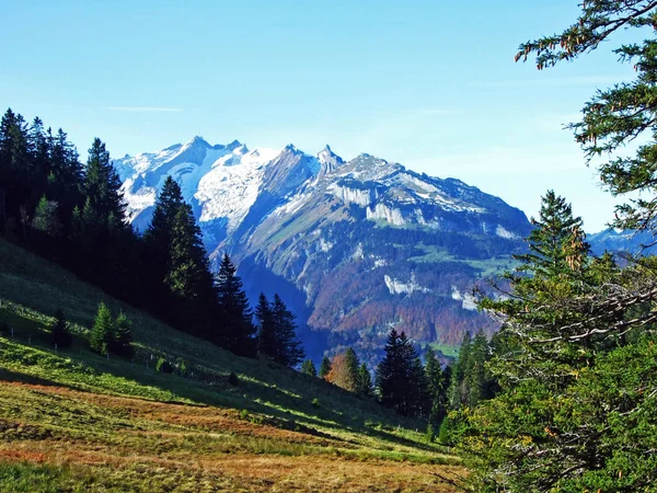 Vista Gama Alpstein Cordilheira Alpina Churfirsten Região Appenzellerland Cantão Appenzell — Fotografia de Stock