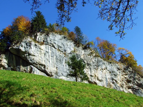 Камені Скелі Гірського Масиву Альпштейн Долина Річки Рейн Rheintal Кантон — стокове фото