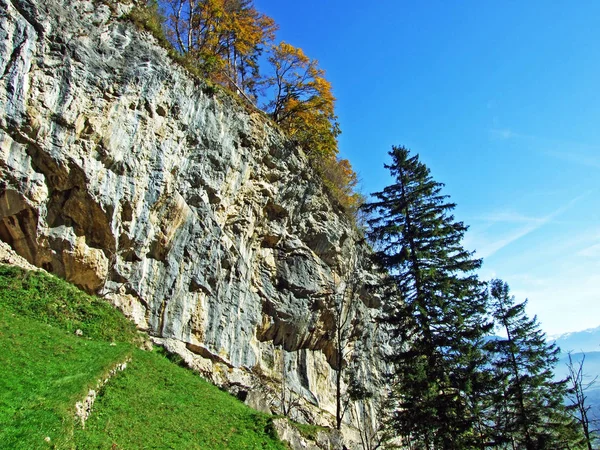 Alpstein Dağı ve Ren Nehri Vadisi 'ndeki (Rheintal) taş ve kayalar - İsviçre' nin St. Gallen Kantonu (Sg)