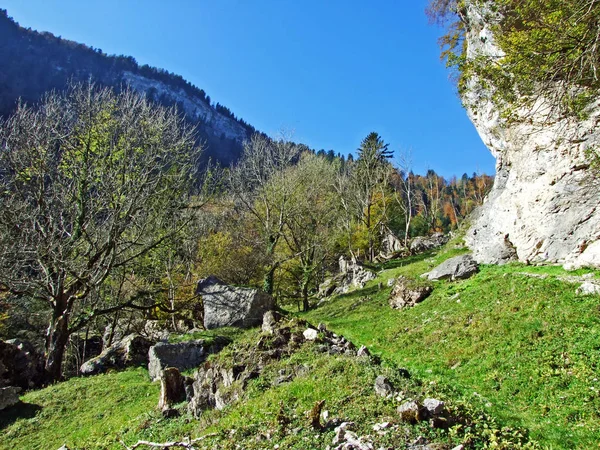 Steine Und Felsen Des Bergmassivs Alpstein Und Rheintal Kanton Gallen — Stockfoto