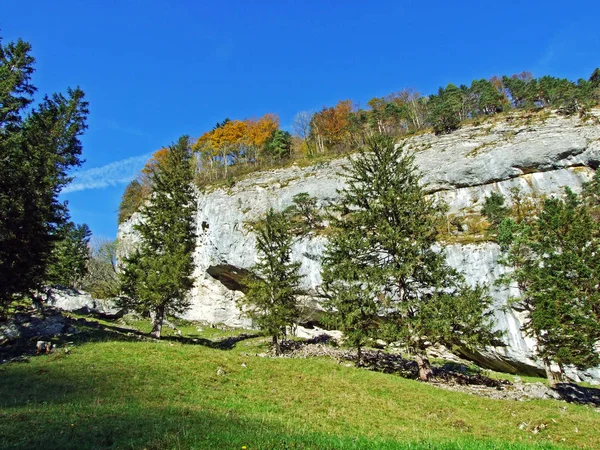 Stenar Och Stenar Bergsmassivet Alpstein Och Rhendalen Rheintal Kanton Gallen — Stockfoto