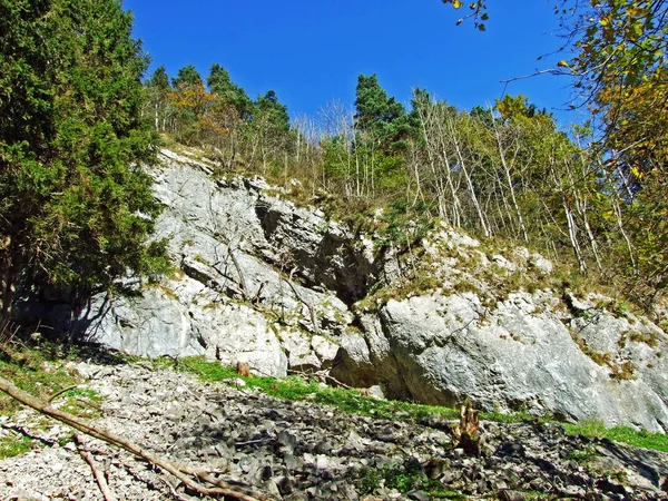 Stenar Och Stenar Bergsmassivet Alpstein Och Rhendalen Rheintal Kanton Gallen — Stockfoto