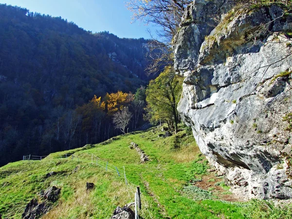 Alpstein Hegylánc Rajna Völgyének Rheintal Kövei Sziklái Gallen Kanton Svájc — Stock Fotó
