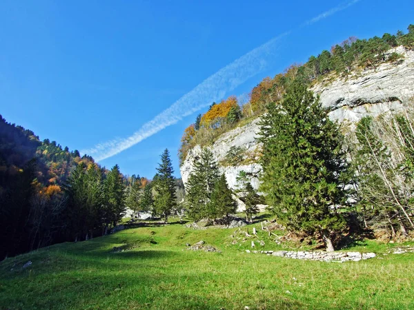 山塊アルプシュタインの石と岩とライン川渓谷 ラインタル カントン セント ガレン スイス — ストック写真