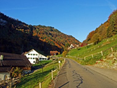 Alpstein dağlarının yamaçlarında ve Ren Vadisi 'nde (Rheintal), Oberriet Sg - İsviçre' nin St. Gallen Kantonu 'nda geleneksel kırsal mimari ve çiftlik hayvanları çiftlikleri