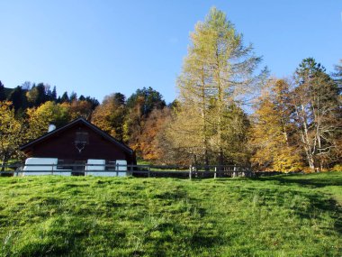 Alpstein dağlarının yamaçlarında ve Ren Vadisi 'nde (Rheintal), Oberriet Sg - İsviçre' nin St. Gallen Kantonu 'nda geleneksel kırsal mimari ve çiftlik hayvanları çiftlikleri