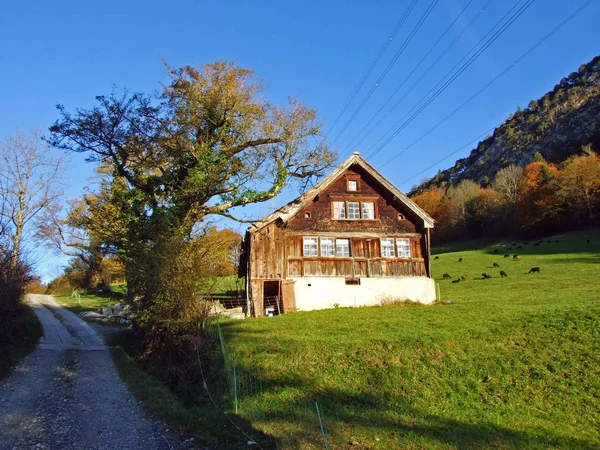 Landelijke Traditionele Bouw Veeteeltbedrijven Hellingen Van Alpsteinse Bergketen Het Rijndal — Stockfoto