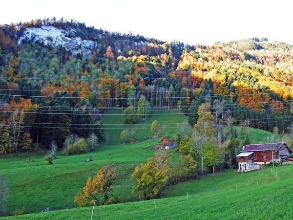 Architecture Rurale Traditionnelle Élevages Sur Les Pentes Chaîne Montagnes Alpstein — Photo