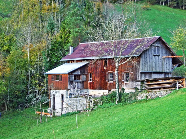 Architecture Rurale Traditionnelle Élevages Sur Les Pentes Chaîne Montagnes Alpstein — Photo