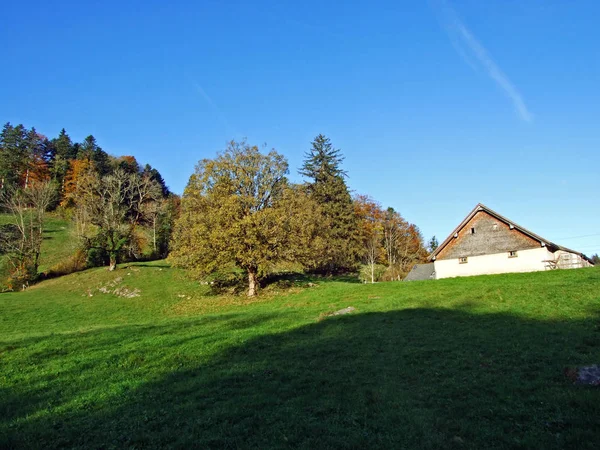 Rural Traditional Architecture Livestock Farms Slopes Alpstein Mountain Range Rhine — Stock Photo, Image