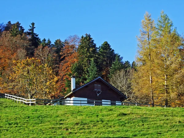 アルプシュタイン山脈の斜面とライン渓谷 ラインタル オーバーリートSgの農村の伝統的な建築や家畜農場 カントン セント ガレン スイス — ストック写真