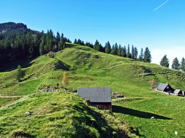 Wiejska Tradycyjna Architektura Hodowla Zwierząt Zboczach Pasma Górskiego Alpstein Dolinie — Zdjęcie stockowe