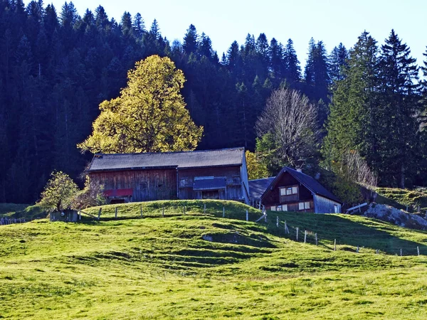 アルプシュタイン山脈の斜面とライン渓谷 ラインタル オーバーリートSgの農村の伝統的な建築や家畜農場 カントン セント ガレン スイス — ストック写真