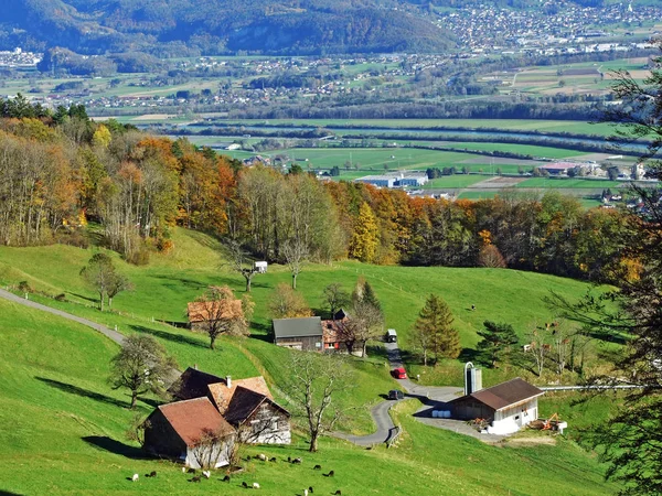 瑞士圣加仑州Oberriet Sg的Alpstein山脉斜坡和莱茵河谷 Rheintal 的农村传统建筑和畜牧业 — 图库照片