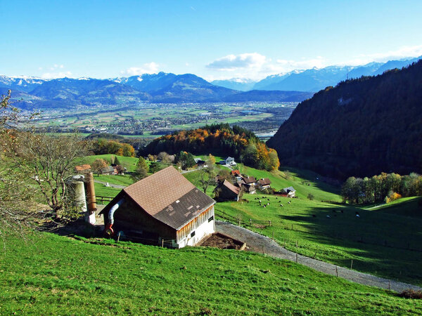 Rural traditional architecture and livestock farms on the slopes of Alpstein mountain range and in the Rhine valley (Rheintal), Oberriet SG - Canton of St. Gallen, Switzerland