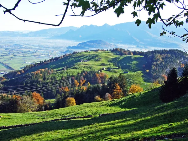 View River Rhine Valley Rheintal Alpstein Mountain Range Oberriet Canton — Stock Photo, Image