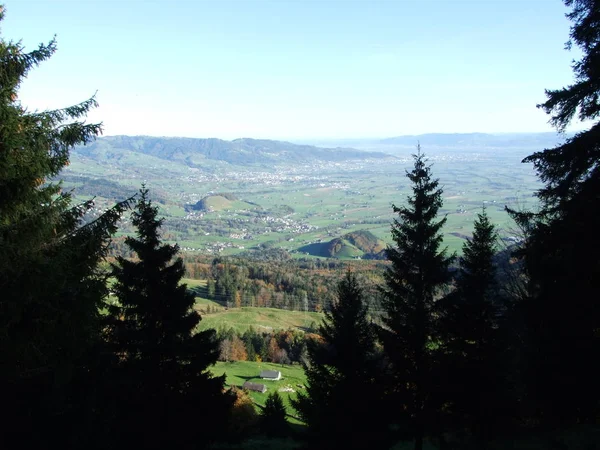 从瑞士圣加仑Oberriet Canton的Alpstein山脉看莱茵河流域 — 图库照片