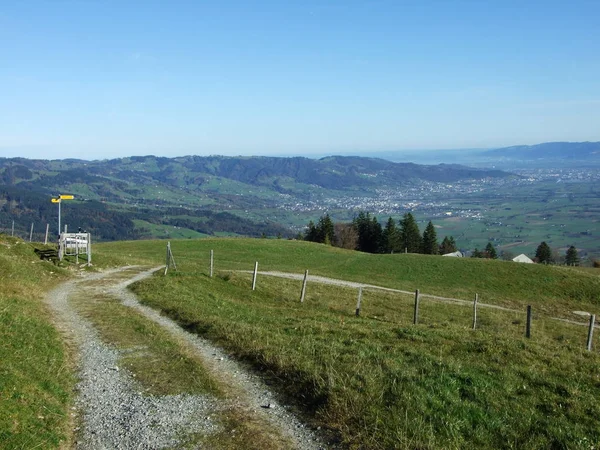 Utsikt Över Floden Rhendalen Rheintal Från Alpstein Bergskedjan Oberriet Kanton — Stockfoto