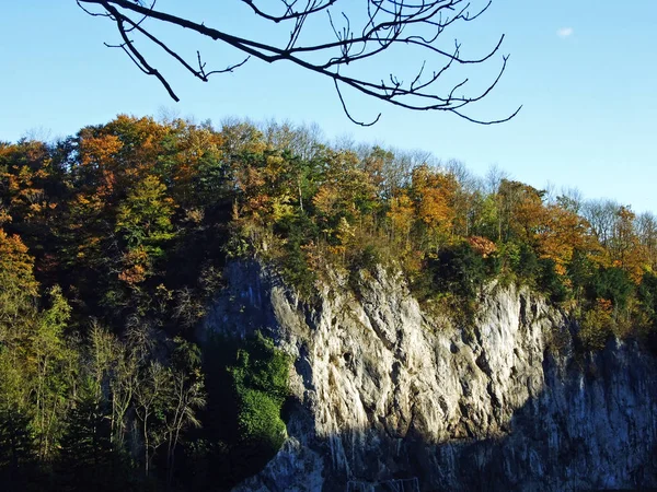 Kameny Skály Horského Masivu Alpstein Údolí Řeky Rýn Rheintal Oberriet — Stock fotografie