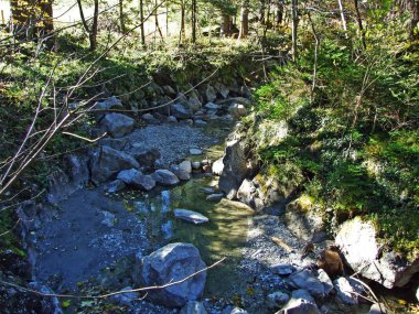 Alpstein sıradağlarının yamaçlarında Freienbach deresi ve Ren nehri vadisinde (Rheintal), Oberriet Sg - St. Gallen, İsviçre Kantonu