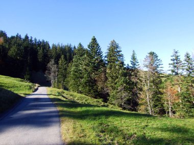 Alpstein dağlarının yamaçlarında yürüyüş ve yürüyüş yolları ve Ren nehri vadisi (Rheintal), Oberriet Sg - İsviçre, St. Gallen Kantonu
