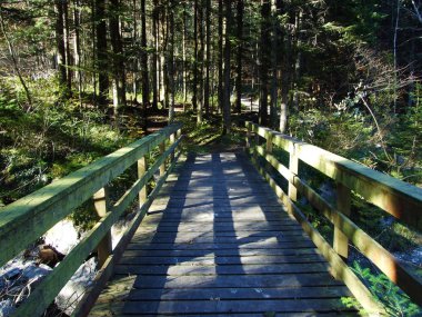 Alpstein dağlarının yamaçlarında yürüyüş ve yürüyüş yolları ve Ren nehri vadisi (Rheintal), Oberriet Sg - İsviçre, St. Gallen Kantonu