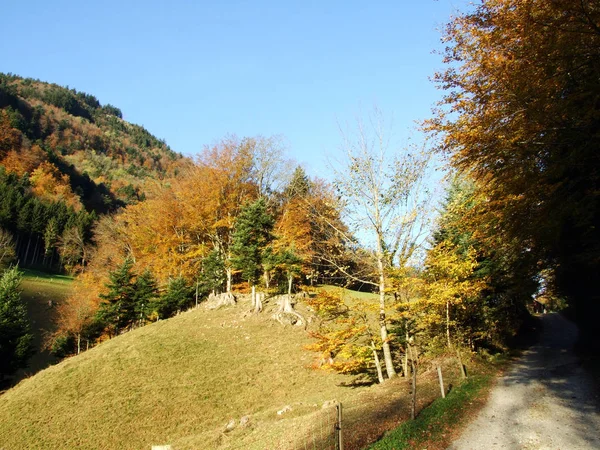 Sentieri Escursionistici Sulle Pendici Del Massiccio Alpino Nella Valle Del — Foto Stock