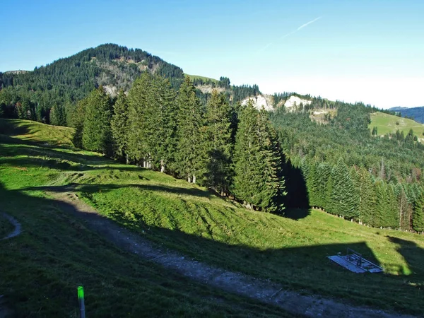 Szlaki Turystyczne Piesze Zboczach Masywu Górskiego Alpstein Dolinie Renu Rheintal — Zdjęcie stockowe