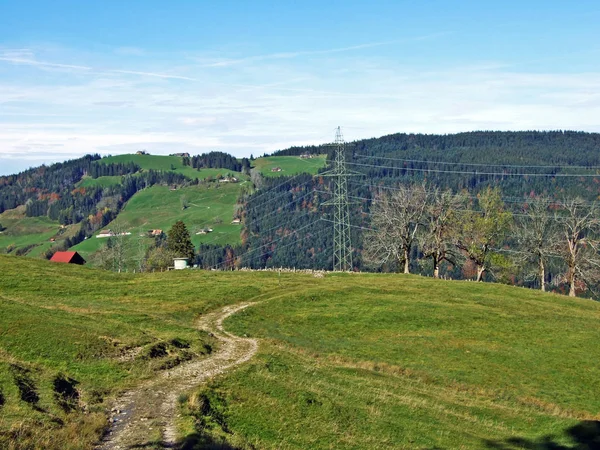 Vandrings Och Vandringsleder Sluttningarna Alpstein Bergsmassivet Och Rhendalen Rheintal Oberriet — Stockfoto