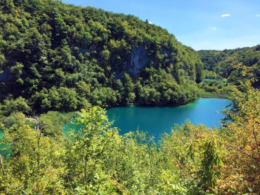 Plitvice Gölleri Milli Parkı veya Nacionalni Park Landscape, UNESCO doğal dünya mirası olan Plitvicka Jezera-Plitvica, Hırvatistan