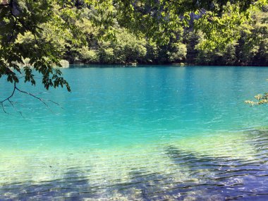 Plitvice Gölleri Milli Parkı veya Nacionalni Park Landscape, UNESCO doğal dünya mirası olan Plitvicka Jezera-Plitvica, Hırvatistan