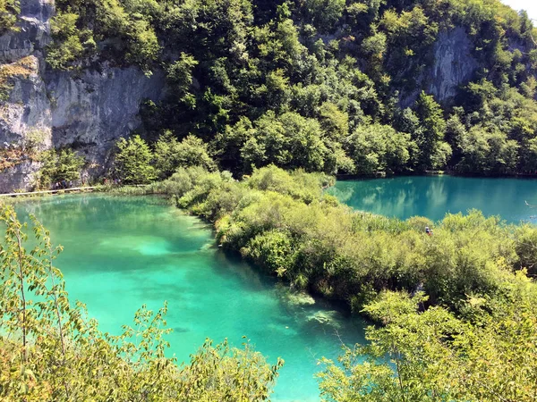 Paysage Parc National Des Lacs Plitvice Parc Nacionalni Plitvicka Jezera — Photo