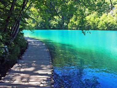 Plitvice Gölleri Milli Parkı veya Nacionalni Park Landscape, UNESCO doğal dünya mirası olan Plitvicka Jezera-Plitvica, Hırvatistan
