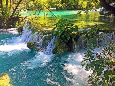 Plitvice Gölleri Milli Parkı veya Nacionalni Park Landscape, UNESCO doğal dünya mirası olan Plitvicka Jezera-Plitvica, Hırvatistan
