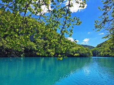 Plitvice Gölleri Milli Parkı veya Nacionalni Park Landscape, UNESCO doğal dünya mirası olan Plitvicka Jezera-Plitvica, Hırvatistan