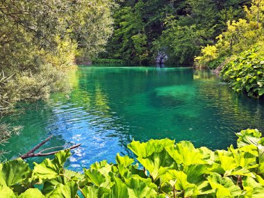 Plitvice Gölleri Milli Parkı veya Nacionalni Park Landscape, UNESCO doğal dünya mirası olan Plitvicka Jezera-Plitvica, Hırvatistan