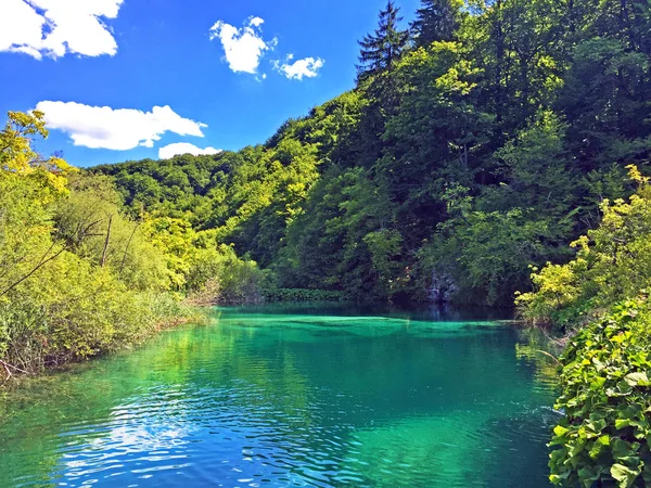 Paysage Parc National Des Lacs Plitvice Parc Nacionalni Plitvicka Jezera — Photo