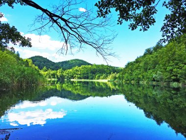 Plitvice Gölleri Milli Parkı veya Nacionalni Park Landscape, UNESCO doğal dünya mirası olan Plitvicka Jezera-Plitvica, Hırvatistan