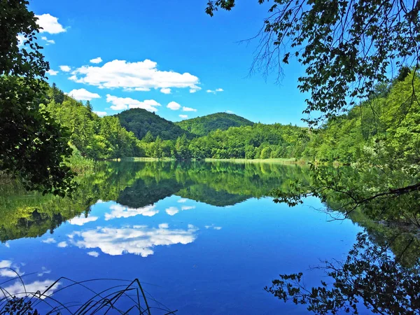 プリトヴィツェ湖群国立公園または Nacionalni 公園の風景 Plitvicka Jezera ユネスコ自然世界遺産 プリトヴィツァ クロアチア — ストック写真