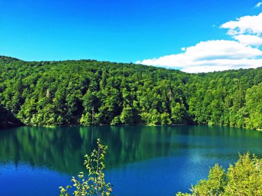 Plitvice Gölleri Milli Parkı veya Nacionalni Park Landscape, UNESCO doğal dünya mirası olan Plitvicka Jezera-Plitvica, Hırvatistan
