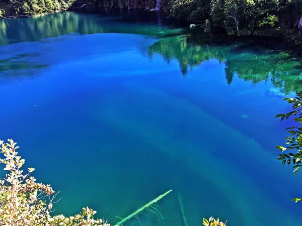 プリトヴィツェ湖群国立公園または Nacionalni 公園の風景 Plitvicka Jezera ユネスコ自然世界遺産 プリトヴィツァ クロアチア — ストック写真