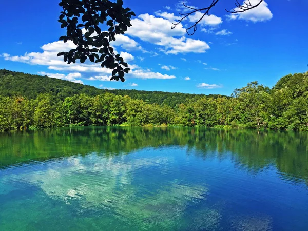 Krajina Národním Parku Plitvice Jezer Nebo Nacionalni Parku Plitvická Jezera — Stock fotografie