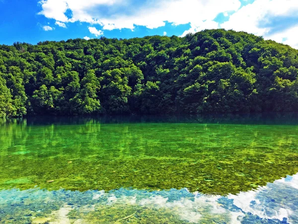 プリトヴィツェ湖群国立公園または Nacionalni 公園の風景 Plitvicka Jezera ユネスコ自然世界遺産 プリトヴィツァ クロアチア — ストック写真