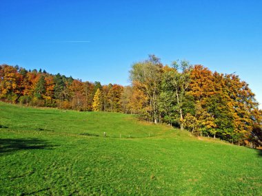 Alpstein Dağları 'nın yamaçlarında ve Ren Nehri Vadisi' nde (Rheintal), Oberriet Sg - İsviçre 'nin St. Gallen Kantonu