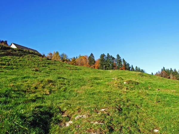 瑞士圣加仑州Oberriet Sg的Alpstein山区地块斜坡和莱茵河流域 莱茵塔尔 的高山牧场和草原 — 图库照片